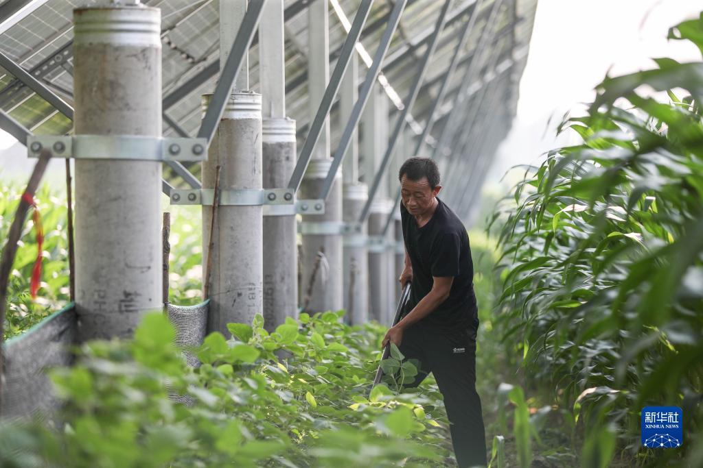 澳门一号所有网址
